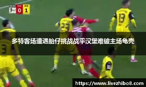 多特客场遭遇胎仔挑战战平汉堡难破主场龟壳