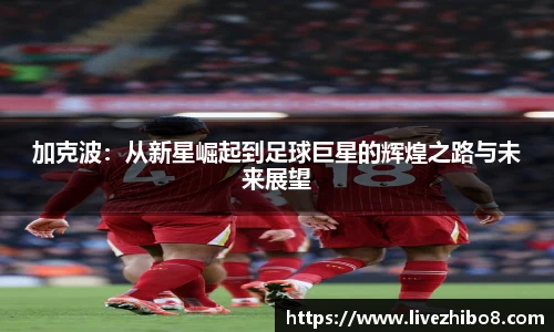 直播吧手机版