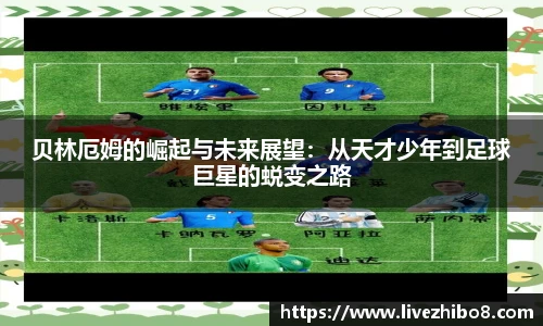 直播8官网